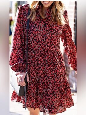 Anthropologie Lea And Viola Rose Printed Skater Dress NWOT Size Large
